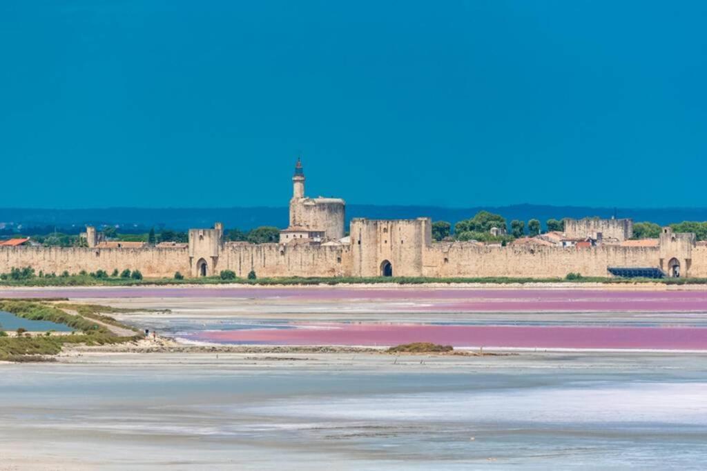 Myinsolite - Tiny-House, Jacuzzi, Brasero, Piscine Aigues-Mortes Exterior photo