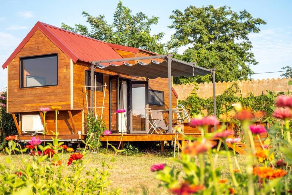 Myinsolite - Tiny-House, Jacuzzi, Brasero, Piscine Aigues-Mortes Exterior photo